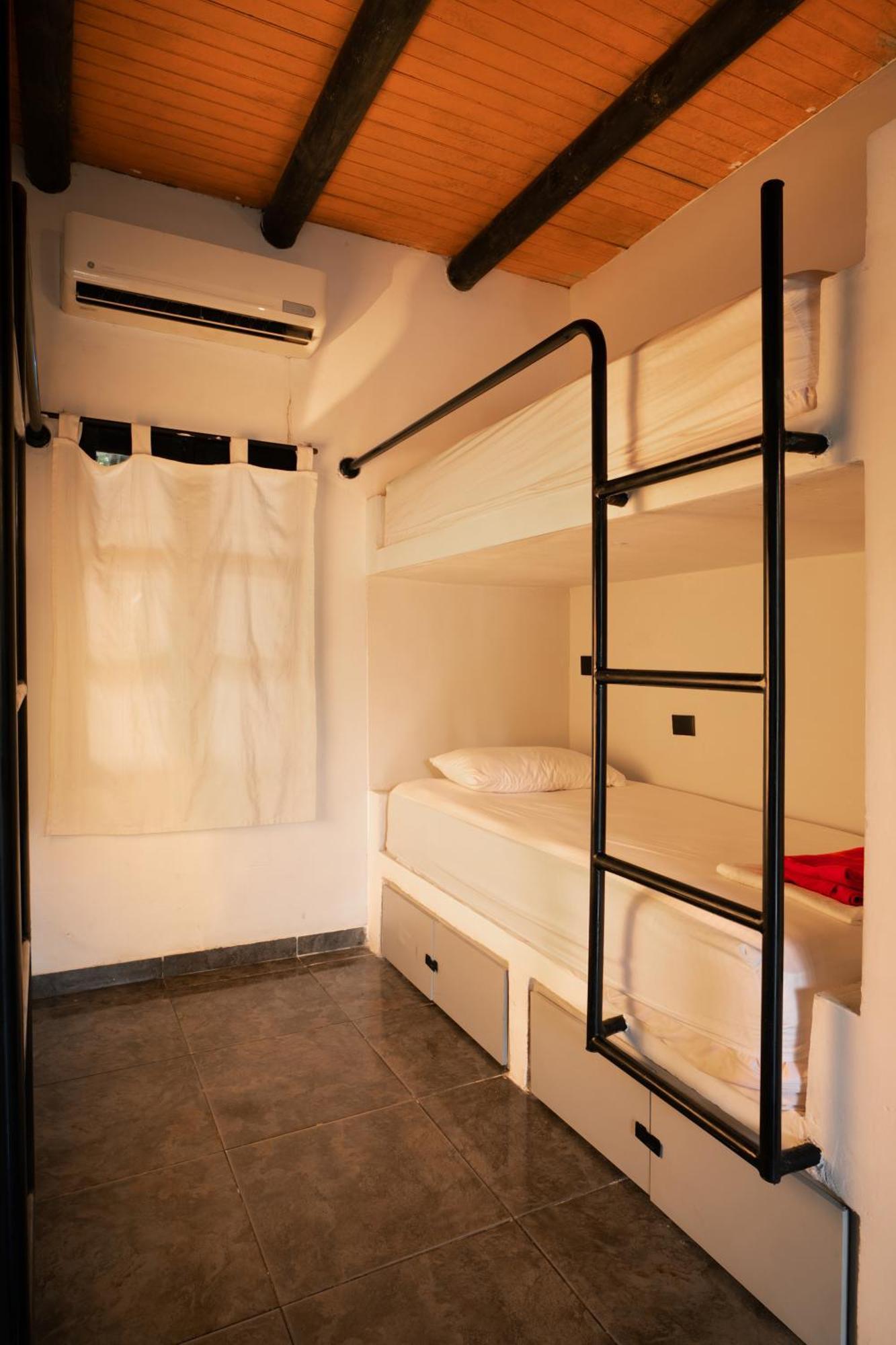 Dreamer Palomino Exterior photo